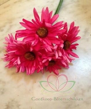 Aster Gerbera Fuchsia Foambloem Doos 30 stuks
