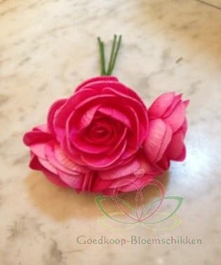 Ranonkels foam Fuchsia 6 cm bundel 5 stuks