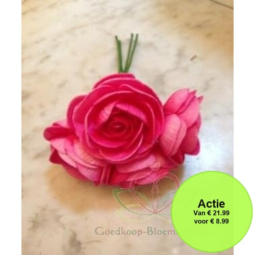 Ranonkels foam Fuchsia 6 cm doos 30 stuks
