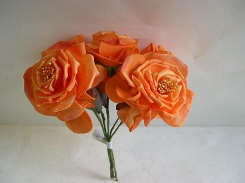 Wild Rose Oranje Foamroos Bundel 10 cm