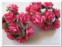 Mulberry Fuchsia 2 cm 50 Roses