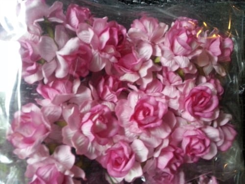 Mulberry Roos Pink Roze 2tone 5 cm pak