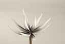 Cactus Flower Lichtgrijs Foam 16 cm 10 stuks
