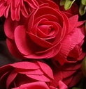 Camelia Ranonkel Rood Foambloem bundel 5 stuks