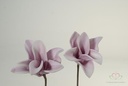 Cymbidium Flower Skin Foambloem 12 stuks