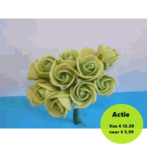 Mini Foam Roos Olijf 2 cm Doos 144 stuks