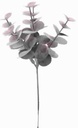 Eucalyptus Pick Burgundy 