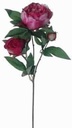 Pioenroos Beauty Pink Zijden 63 cm