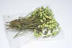 Mini Berries Lichtgroen 50 gram