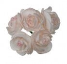 Ranonkels foam Creme Roze 6 cm doos 30 stuks
