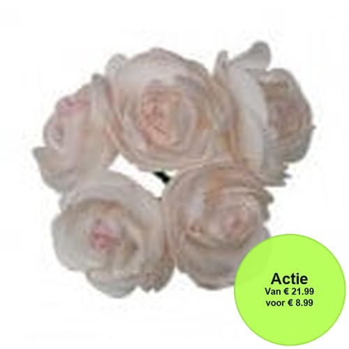 Ranonkels foam Creme Roze 6 cm doos 30 stuks