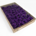 Roos Curve CAD Purple per stuk