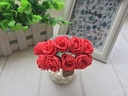 Mini Foam Roos Rood 2,5 cm Zak 144 stuks
