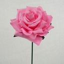 Roos Curve CAD Roze per stuk