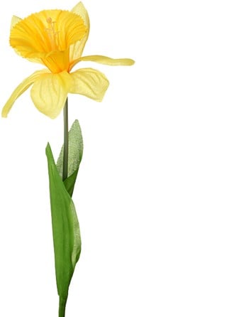 Narcis Zijdenbloem Geel per stuk