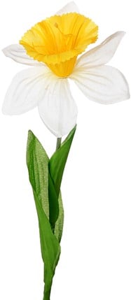 Narcis Zijdenbloem Wit Geel per stuk