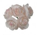 Ranonkels foam Creme Roze 6 cm bundel 5 stuks