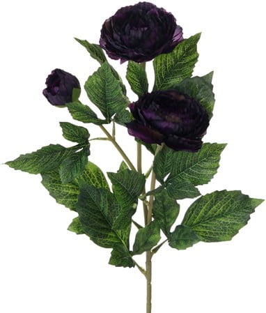 Grote Ranonkel Zijdenbloem Donkerpaars Tak