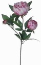 Pioenroos Lilac Zijden 63 cm