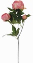Pioenroos Mauve Zijden 63 cm