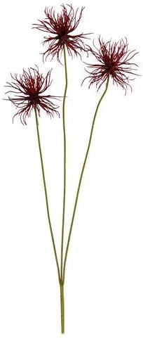 Xanthium Burgundy Spray 64 cm per stuk