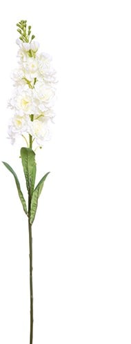 Matthiola Ivory Zijdenbloem Tak 83 cm per stuk