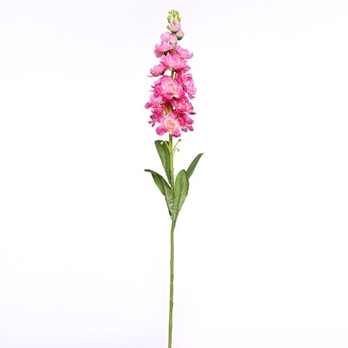 Matthiola Pink Zijdenbloem Tak 83 cm per stuk