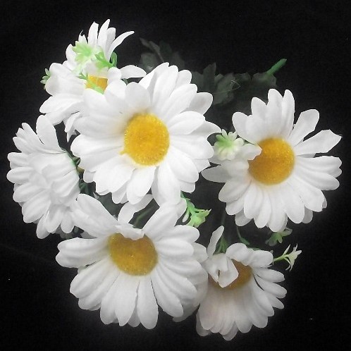 Boeketje Margrieten 30 cm