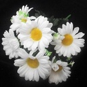 Boeketje Margrieten 30 cm