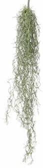 Tillandsia Hangplant Groen 75 cm 