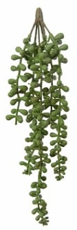 Senecio Hangplant Groen Latex 70 cm per stuk