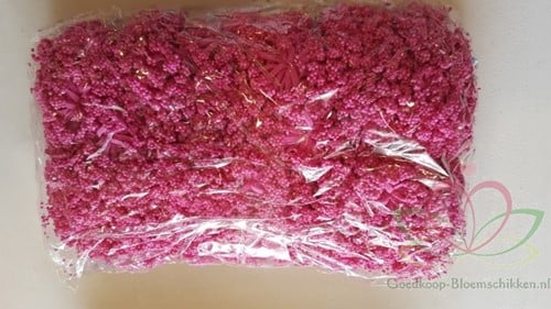 Fieldberries Mei Rood New Style pak 144 stuks