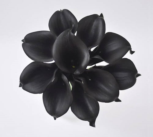 Calla Real Touch Zwart 7 cm 37 cm lang per stuk