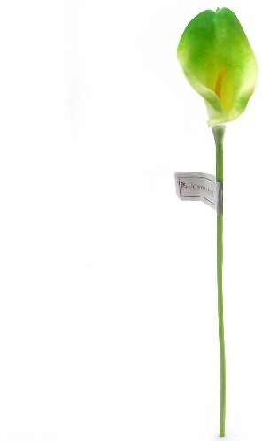 Calla Real Touch Groen 7 cm 37 cm lang per stuk