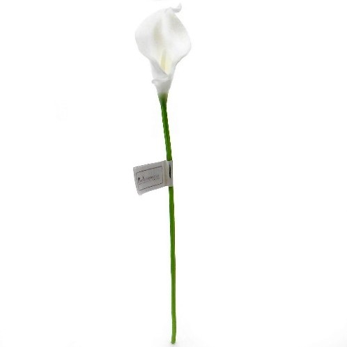 Calla Real Touch Wit 7 cm 37 cm lang per stuk