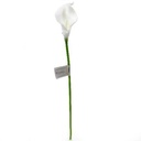 Calla Real Touch Wit 7 cm 37 cm lang per stuk