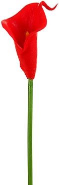 Calla Real Touch Rood 7 cm 33 cm lang per stuk