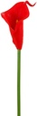 Calla Real Touch Rood 7 cm 33 cm lang per stuk