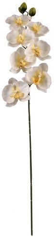 Panda Orchidee Spray Creme Zijden