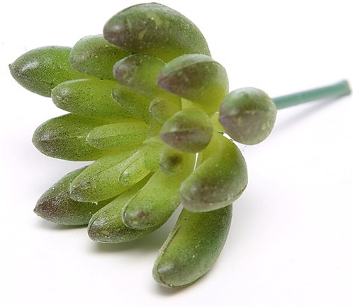 Latex Succulent Groen Rood 6,5 cm per stuk
