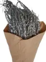 Palm Flaming Paper bouquet 300 gram 10 stuks 
