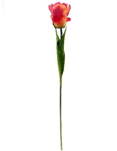 Parkiettulp Oranje Zijden 56 cm per stuk