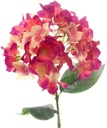 Hortensia Hydrangea Beauty Zijdenbloem Single 45 cm