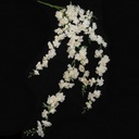 Delphinium Peach Large Trailing Bloemtak 134 cm