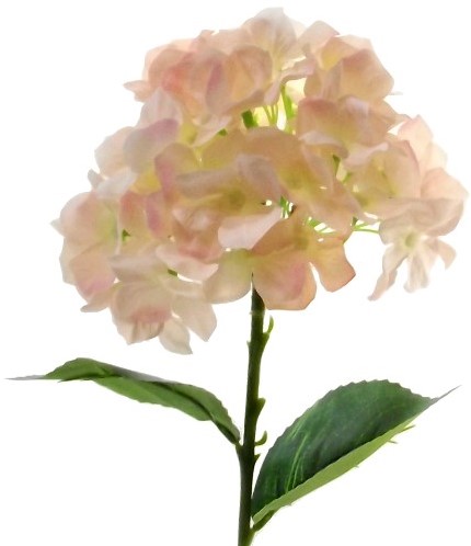 Hortensia Hydrangea Peach Zijdenbloem Single 45 cm
