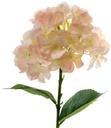 Hortensia Hydrangea Peach Zijdenbloem Single 45 cm