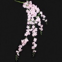 Delphinium Light Pink Large Trailing Bloemtak 134 cm