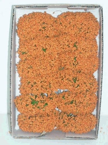 Fieldberries Oranje doosje