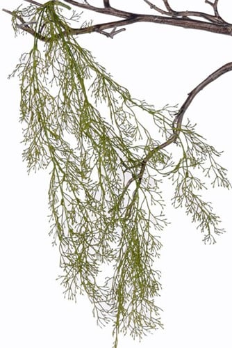 Bamboehanger Vertakt 85 cm per stuk