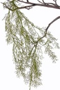 Bamboehanger Vertakt 85 cm per stuk